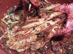예빛파출넷 이미지