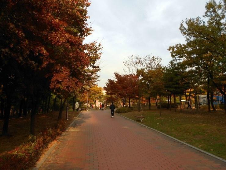 재궁공원 이미지