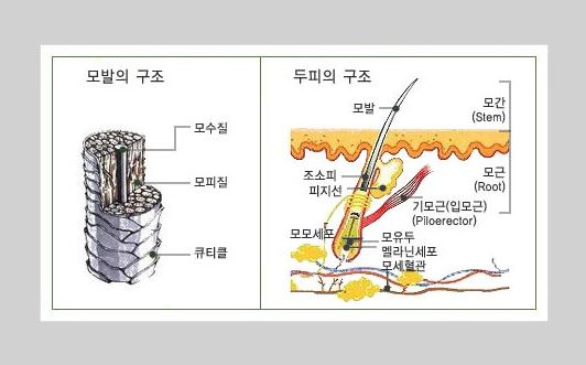 모표 이미지