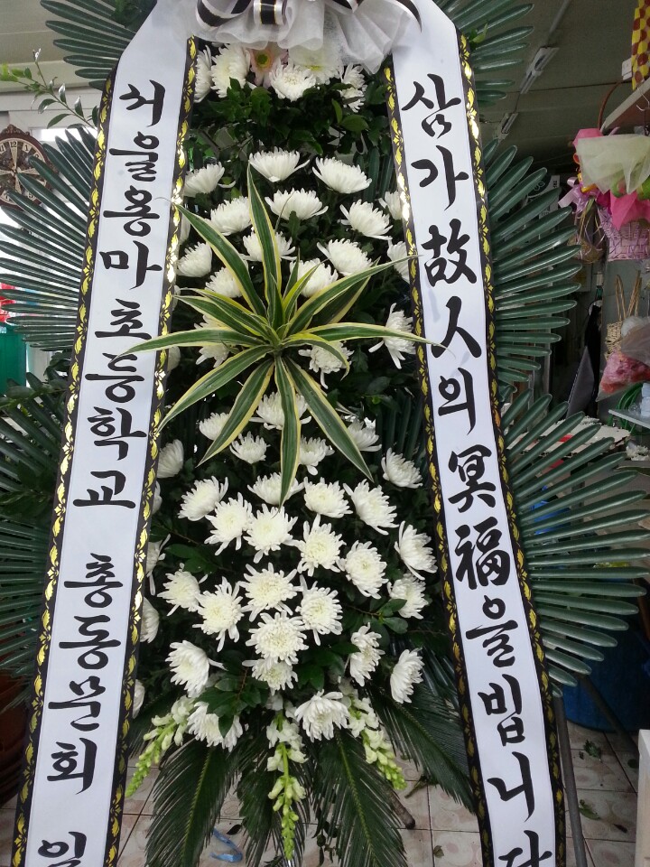 성애플라워 이미지