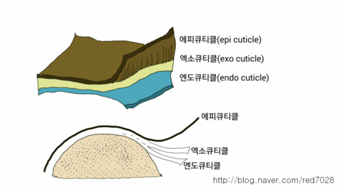 모표 이미지