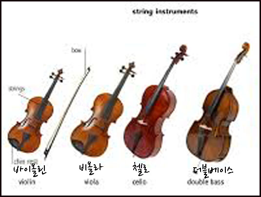 현악기 이미지