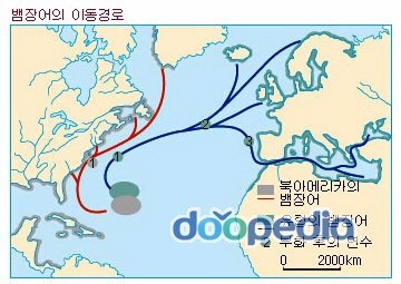 민물장어낚시 이미지
