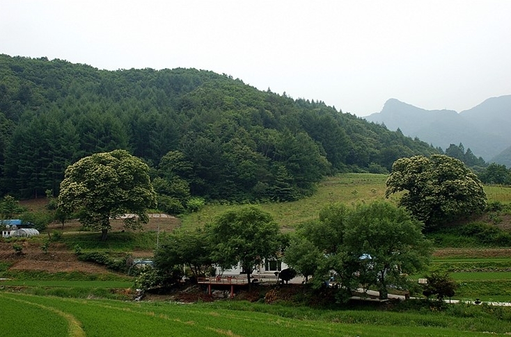 산골마을 이미지