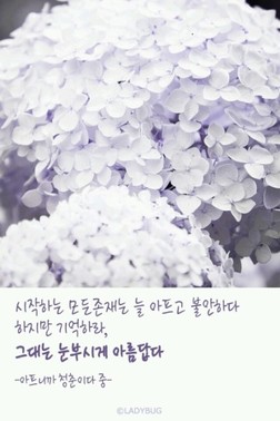더피아니스트 이미지