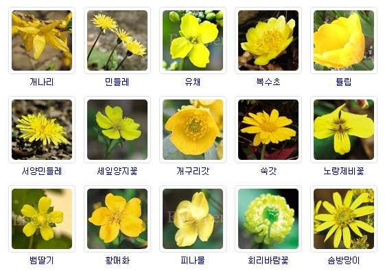 이스토리 이미지