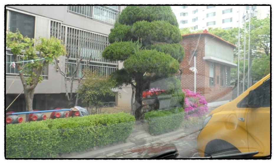 비로야영장 이미지