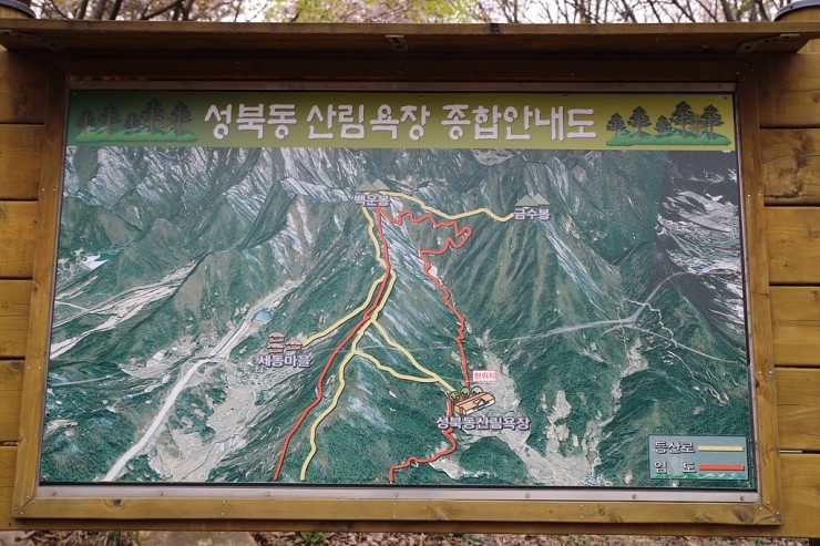 들꽃따라 이미지
