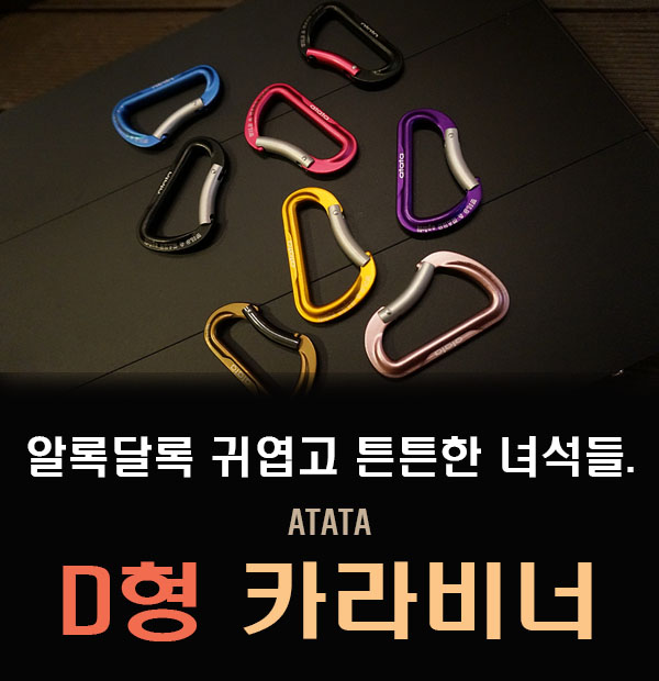 군토 이미지