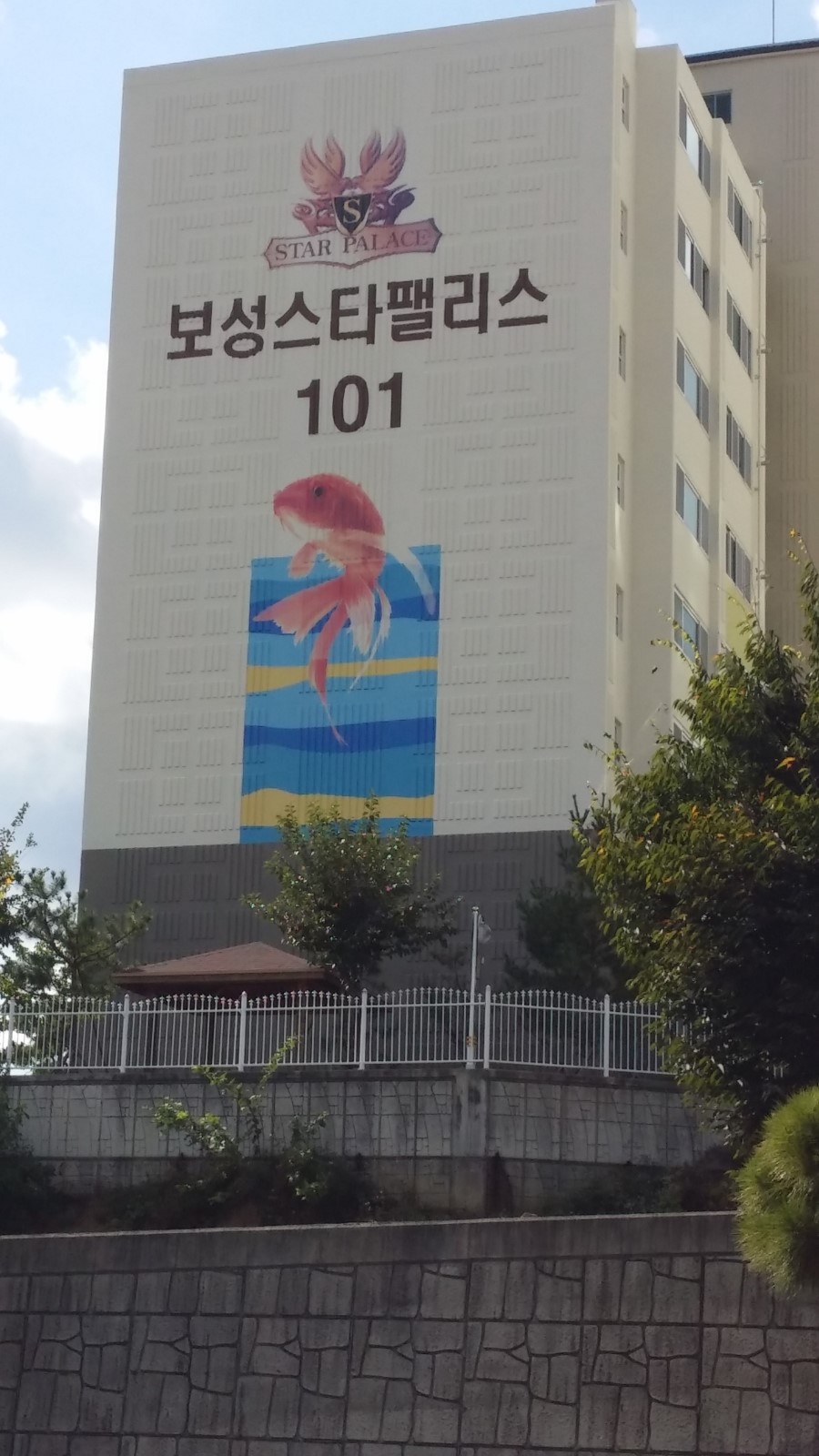 스타그래픽 이미지