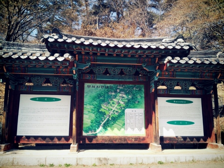 녹색농심인삼마을 이미지