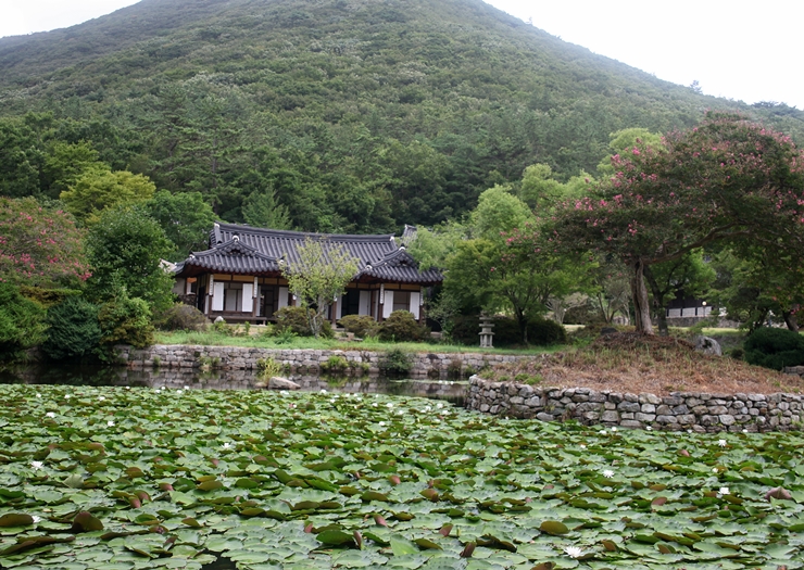 유림조경 이미지