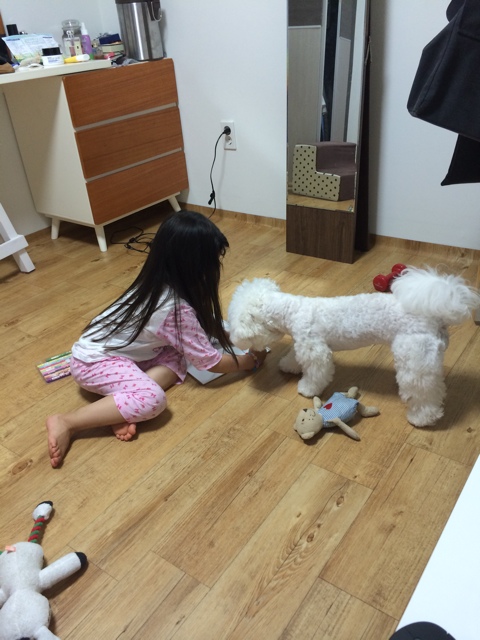 뽀숑폰 이미지