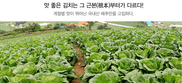 (주)대한에프앤에스 이미지