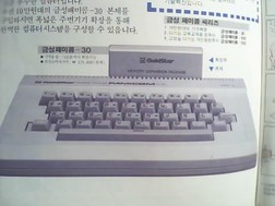 세운전자 이미지