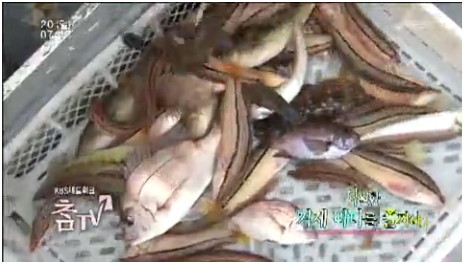 강태공TV 이미지
