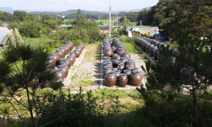맹골사랑 이미지