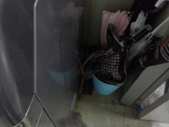 리챠드프로헤어 이미지