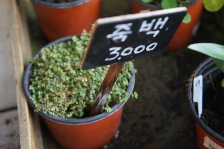 헬로!은비 이미지