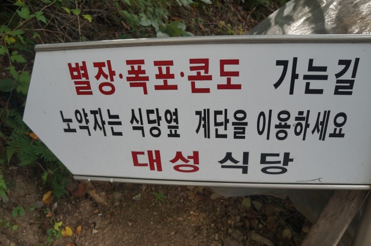 프로방스제과점 이미지