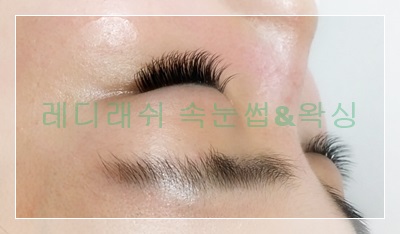 탐나는속눈썹 이미지