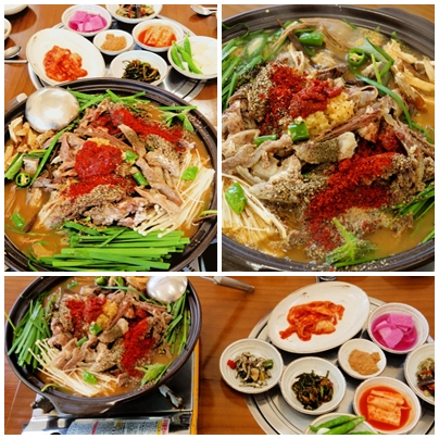 흙심흑염소 이미지