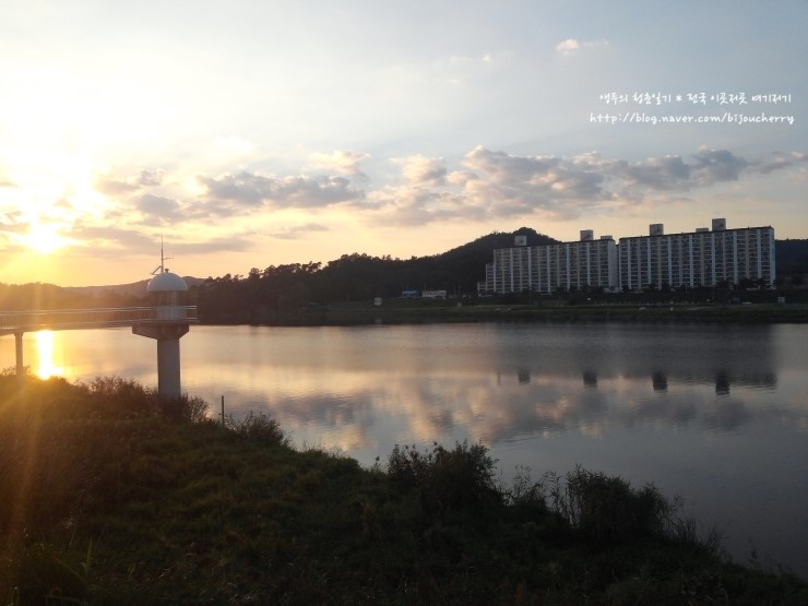 영산산림 이미지