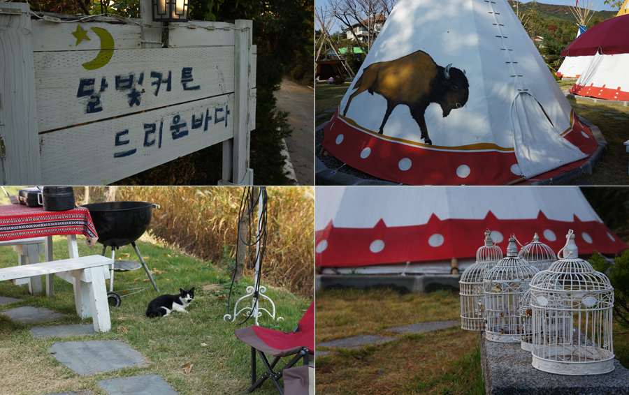 달빛커튼드리운바다 이미지
