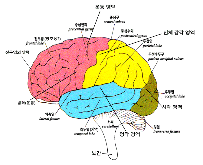 편안함의 배신 : 네이버 블로그