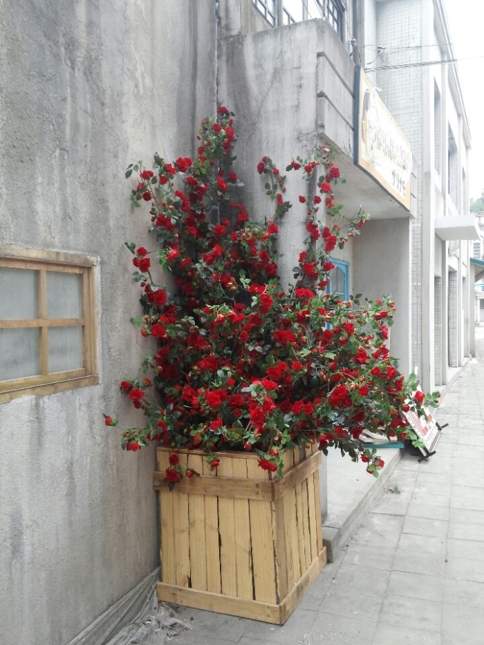 영화조경 이미지