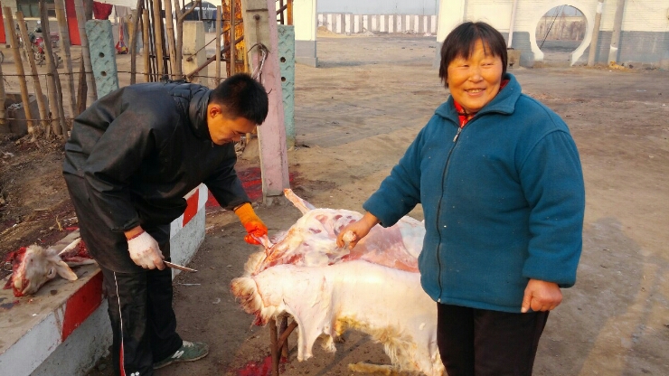 현자전거 이미지