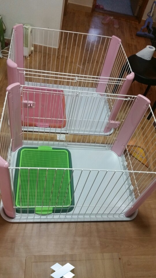 아이리스_베키 이미지