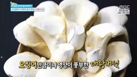 글로벌대왕버섯 이미지