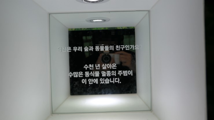 스라소니그래픽 이미지