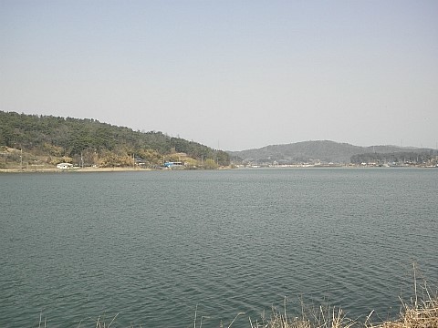 다솜차반 이미지