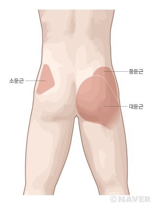 동해스파휘트니스 이미지