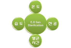 버섯과면역 이미지