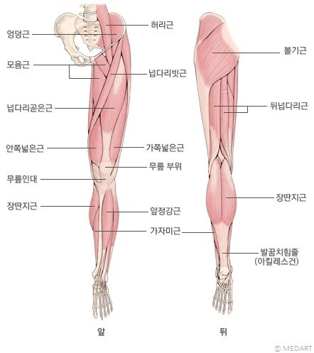 경희탄탄한의원 이미지