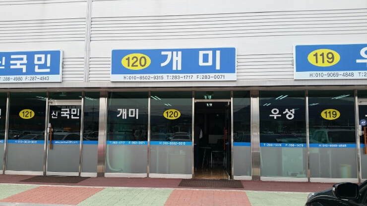 개미상사 이미지