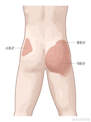 경희탄탄한의원 이미지