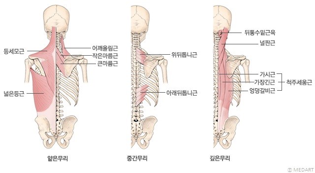 경희탄탄한의원 이미지