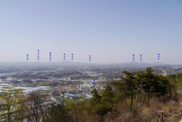 죽림산 정상 이미지
