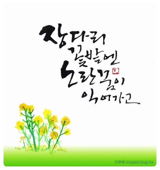 장다리 이미지