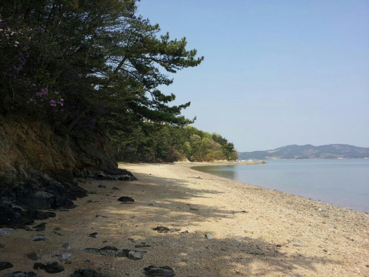 파타야펜션 이미지