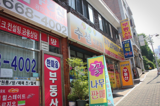 맵시방 이미지