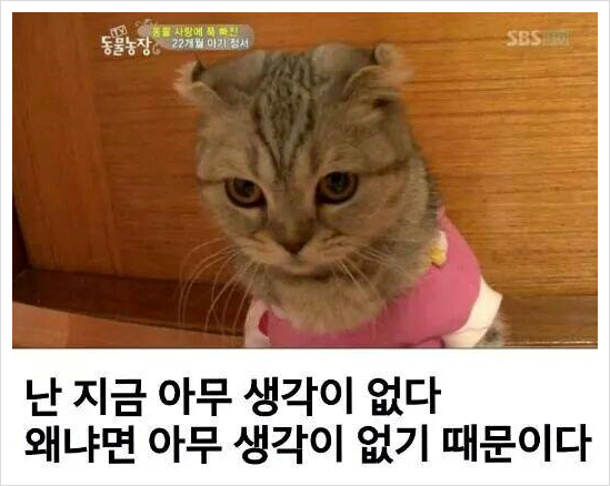 라브리지 이미지