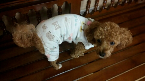 화정의류 이미지