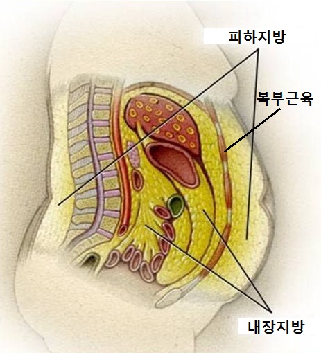 방서참한의원 이미지