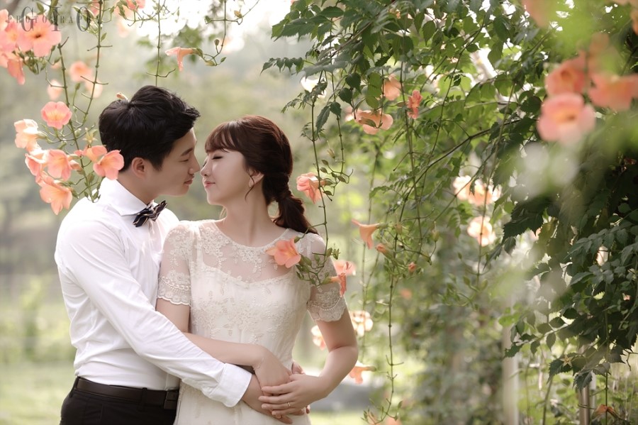 지오앤코 이미지