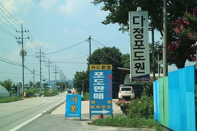 다정포도원 이미지